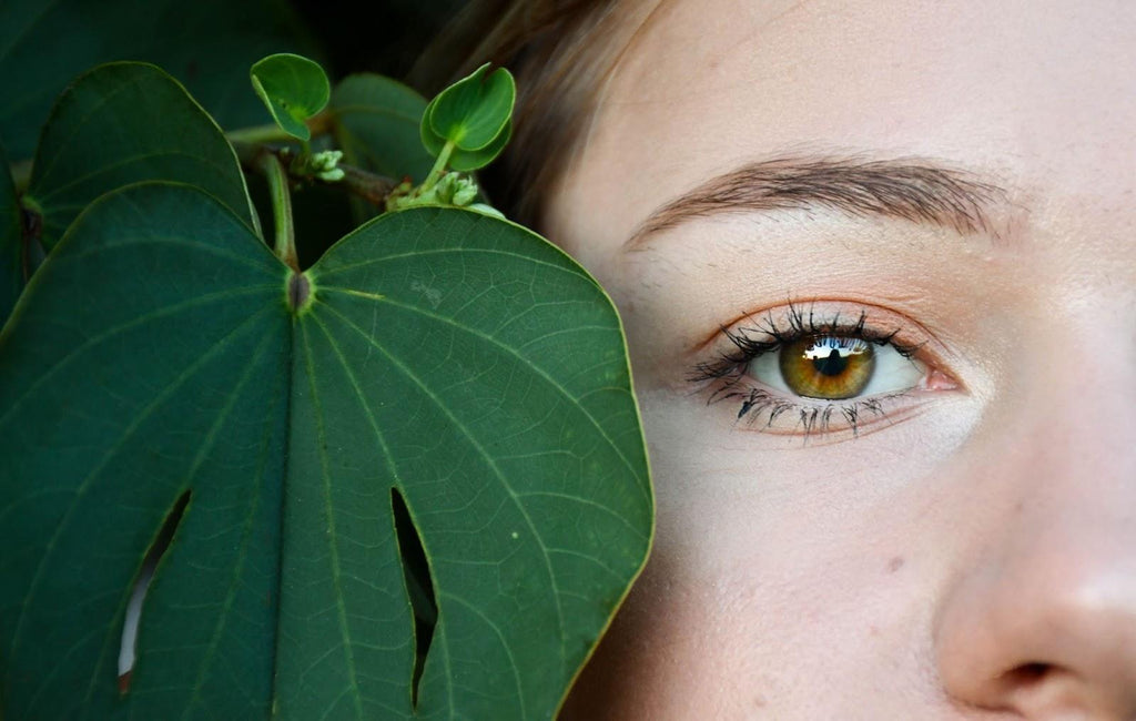 How To Apply Botanical Eyelash Enhancing Serum?